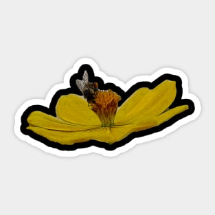 little bee on a flower Sticker